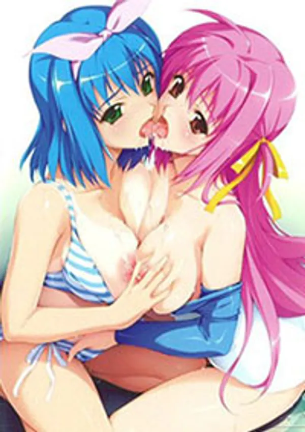 Gakuen saimin reido 2